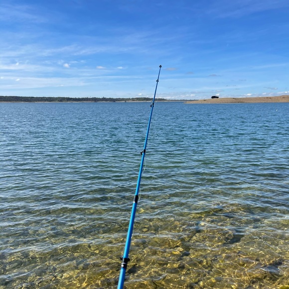 Meet your Posher, Lisa - Picture 1 of 1